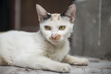 Similar image 11799024