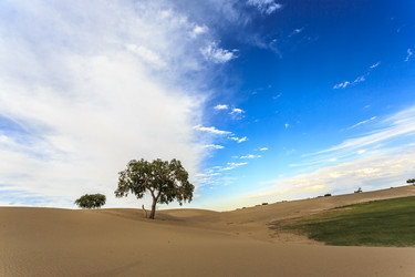 Similar image 11799157