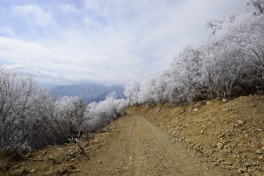 Similar image 11799271