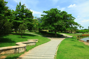 Similar image 11786347