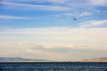 Similar image 11786491