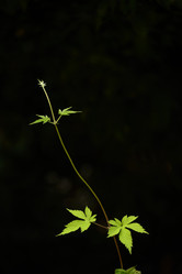 Similar image 11787438