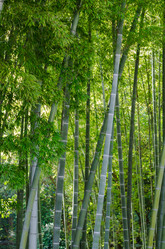 Similar image 11787456