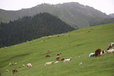 Similar image 11787614