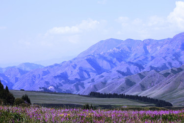 Similar image 11787714