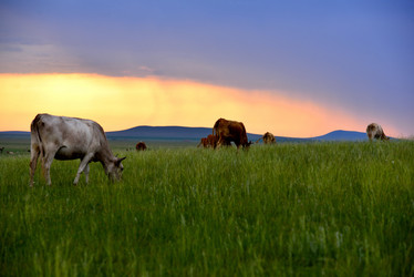 Similar image 11788337