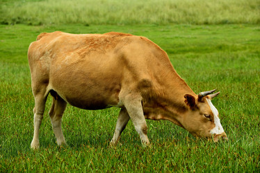 Similar image 11788110