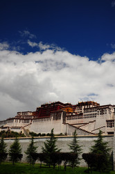 Similar image 11788194