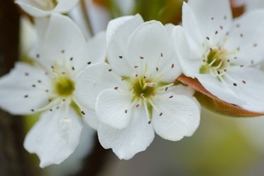 Similar image 11789123