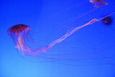 Similar image 11789177