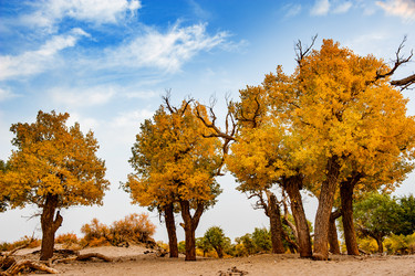 Similar image 11789207