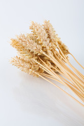 Similar image 11789430