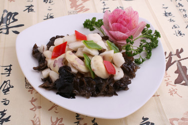 Similar image 11786758