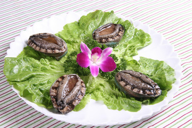 Similar image 11786048