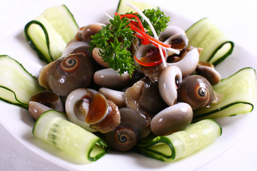 Similar image 11786724