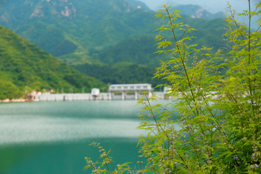 Similar image 11788246