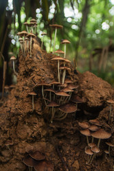 Similar image 11788080