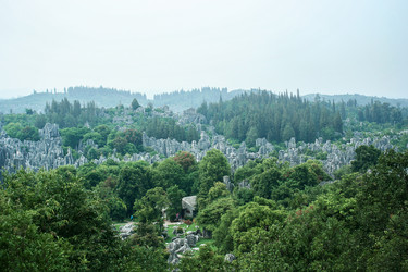 Similar image 11788470