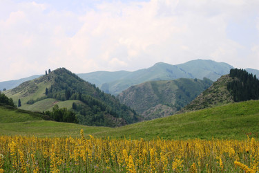 Similar image 11789276