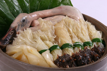 Similar image 11796519