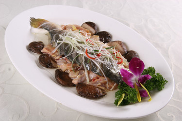 Similar image 11787958