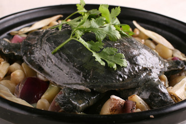 Similar image 11787512