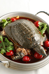 Similar image 11787591