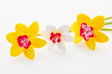 Similar image 11802628