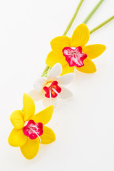 Similar image 11802629