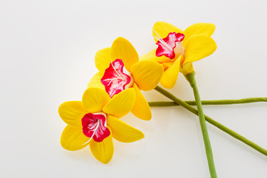 Similar image 11802630