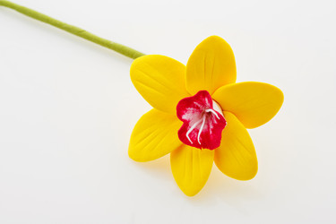 Similar image 11802642