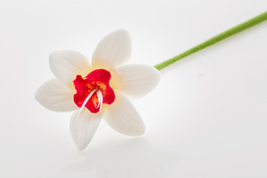 Similar image 11802644