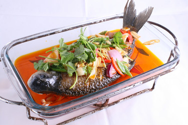 Similar image 11785983