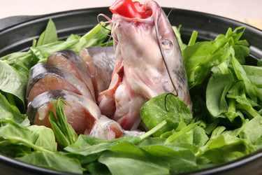 Similar image 11786501