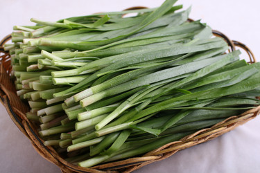 Similar image 11788599