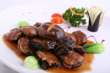 Similar image 11789308