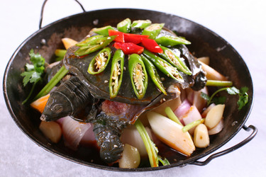 Similar image 11787516