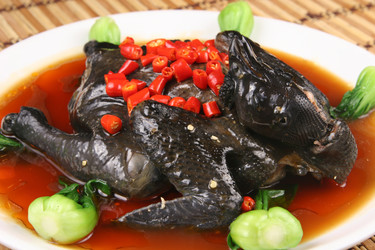 Similar image 11787518