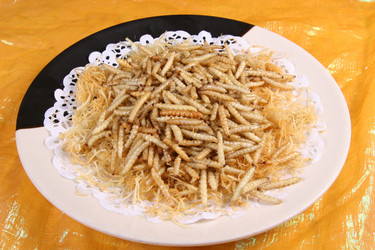 Similar image 11795104