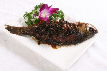 Similar image 11786107