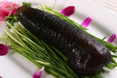 Similar image 11786360