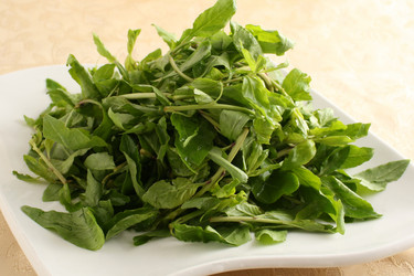 Similar image 11789282