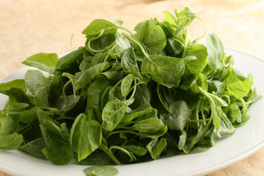 Similar image 11789311