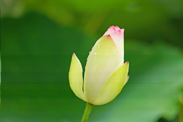 Similar image 11794711