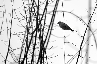 Similar image 11786508