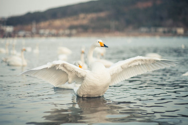 Similar image 11787378