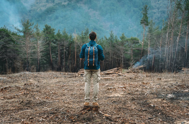 Similar image 11803910