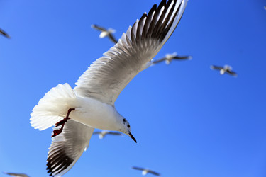 Similar image 11788780