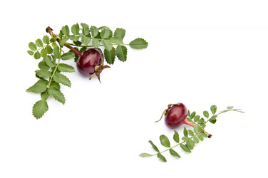 Similar image 11795045