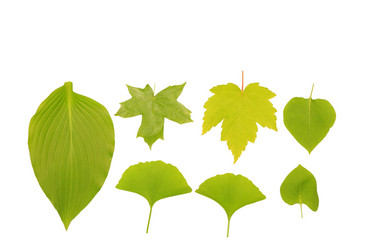 Similar image 11796247